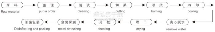 脫水蔬菜帶式幹燥工藝流程